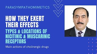 Parasympathomimetics Nicotinic and muscarinic receptors  Their agonists amp antagonists [upl. by Nospmas]