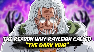 The Reason Why Silvers Rayleigh called the Dark King Explained [upl. by Eiaj537]