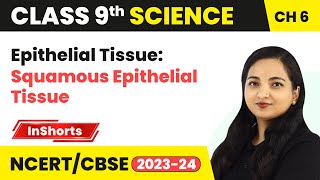 Epithelial Tissue Squamous Epithelial Tissue  Class 9 Biology Chapter 6  Tissues [upl. by Aivax]