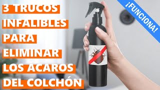 Cómo eliminar los ácaros del colchón rápido y fácil [upl. by Ryder325]