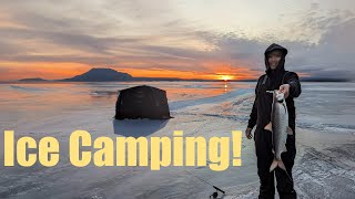 We went ice camping on Lake Simcoe amp caught 3 different speciesPB hit [upl. by Deegan]