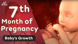 7 Month Pregnancy Baby Growth  7 Month Pregnancy Baby Movement  Mylo Family [upl. by Ahsatan]