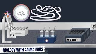 Southern Blot Method  Animated Video [upl. by Margetts21]