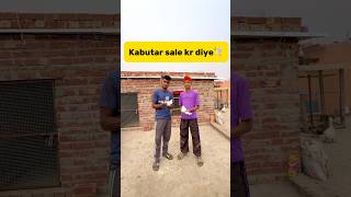 Kabutar sale kr diye🕊️ petlover minivlog pigeonvlogger pigeon kabutar birds sale viralshort [upl. by Malda]