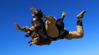 Daredevil Dachshund Riley Loves First Skydive Trip [upl. by Denie139]