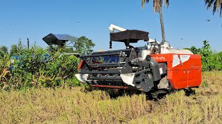 Kubota DC68G harvester 2024 New Model New model harvester  Harvesters [upl. by Rettuc144]