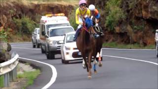 Carrera de caballos [upl. by Ramedlav]