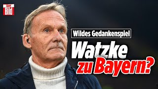 Er trägt die Schuld am BVBElfmeterSkandal  BayernDrama und Schalkes Hoffnung  Lage der Liga [upl. by Lazor]