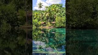 Still water Beautiful lake travel nature naturelovers riverside river lanka [upl. by Ehtnax210]