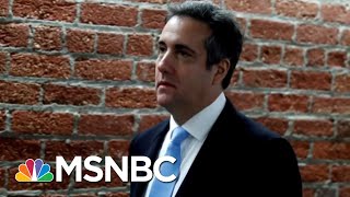 Avenatti I Was First To Predict Michael Cohen Would Flip On Donald Trump  Hallie Jackson  MSNBC [upl. by Oijimer]