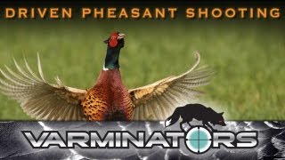 Driven Pheasant Shooting in Derbyshire [upl. by Nemzzaj]