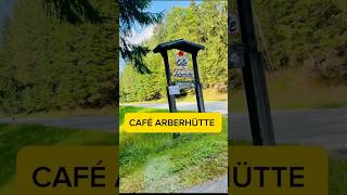 CAFÉ ARBERHÜTTE  Bayerisch Eisenstein cafe bayerischerwald café [upl. by Annoval802]