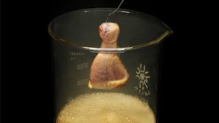 Vaporizing chicken in acid [upl. by Marjory947]