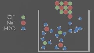 Dissolving Salt into Water Animation [upl. by Auqeenahs763]