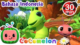 Semut dan Belalang  CoComelon  Kartun dan Lagu Anak  Moonbug Kids Indonesia  Nursery Rhymes [upl. by Eednac631]