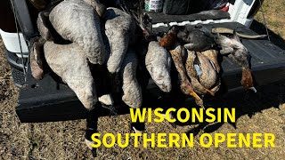 WISCONSIN SOUTHERN OPENER DECOYING GEESE EARLY SEASON RED HEADS [upl. by Areehs]