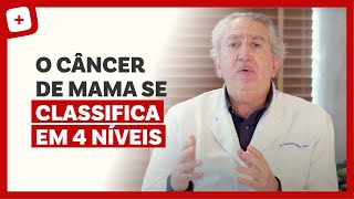 Como surge o CÂNCER DE MAMA [upl. by Denman]