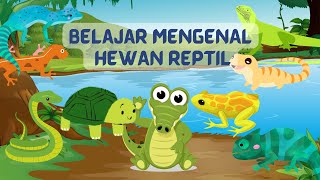 MENGENAL HEWAN REPTILBELAJAR ANAK PAUDTKSDBELAJAR MENGENAL BINATANG [upl. by Yllah]