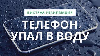 Что делать если телефон упал в воду Инструкция по реанимации [upl. by Nylzzaj]