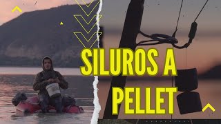 COMO PESCAR SILUROS A PELLET EN MEQUINENZA mi ESTRATEGIA DE PESCA [upl. by Aneekas494]