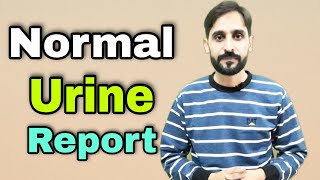 How to Understand Normal Urine Examination Report [upl. by Isacco]