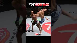 Crazy Elbow Blow muaythai mma boxing [upl. by Cran333]