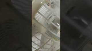 2 16quot table fan stand fan khind samsonic [upl. by Eidob]