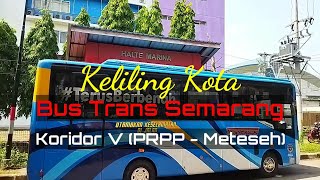 Bus Trans Semarang Koridor V Terbaru [upl. by Analihp]