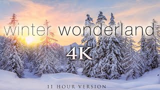 4K 11 Hours of Winter Wonderland  Calming Hang Drum Music for Relaxation Stress Relief UHD [upl. by Graces]