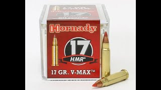 17HMR Hornady 17gr VMax Rifle 21 de cano [upl. by Kinsman]