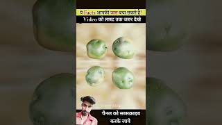 amazingfacts factsinhindi knowledge interestingfacts life new factsmine latest trending [upl. by Anwahsal]