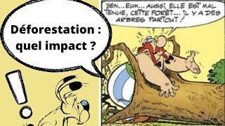 Causes et conséquences de la déforestation sur le changement climatique [upl. by Cindra]