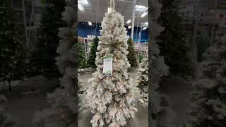 Shop Christmas Trees  At Home Stores [upl. by Ellehcar]