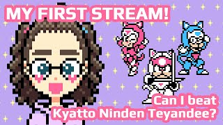 My First Stream Can I beat Kyatto Ninden Teyandee [upl. by Laira]