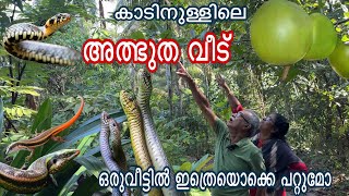 മകളുടെ ഓർമ്മക്കായിട്ടാണ് ഈ വീട്ടിൽ ഇതു ചെയ്തു തുടങ്ങിയത് പക്ഷെ ഇപ്പോൾ കണ്ടോ [upl. by Kiehl131]