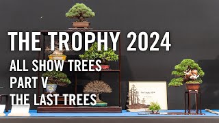 Bonsai Trophy 2024 Belgium all show trees part 5 the final part [upl. by Imekawulo]