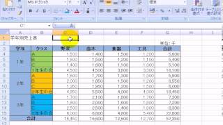 データ内容と書式設定71  エクセル2007Excel2007動画解説 [upl. by Maggie266]