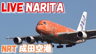 🔴LIVE at NARITA International Airport Plane Spotting 20241107 成田空港ライブカメラ 成田空港 NRTRJAA [upl. by Mariand]