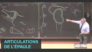 Anatomie des articulations de lépaule Membre supérieur 1 [upl. by Leugimsiul]