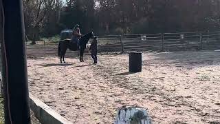 Horseback riding ￼ first time cantering 111123 [upl. by Auliffe695]