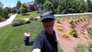 How To Landscape a Steep Slope For Beauty and Low Maintenance [upl. by Osrock]