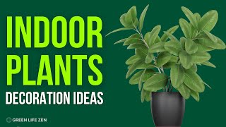 7 Best Indoor Plants for Your Home Decoration Ideas [upl. by Negiam]