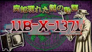 【11B X 1371】世界中を巻き込んだ一本の不気味な動画【その真実とは！？】 [upl. by Tatiana]