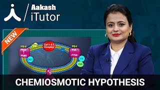 Photosynthesis  Chemiosmotic Hypothesis Class 11 Biology One Shot  NEET Botany Exam Preparation [upl. by Trepur]