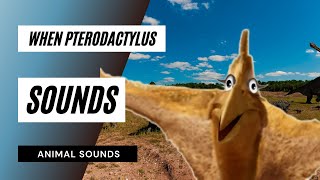 When pterodactylus sounds  the animal sounds pterodactylus sounds  sound effect  animation [upl. by Joerg773]