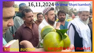 16112024 ch Umar Shani kamboh is engaged in kinnow auction  known as ch Tahir kombow amp sons [upl. by Alesram]