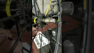 Mavic Instant Drive 360 Hub service  bikemaintenance shorts youtubeshorts shortsvideo [upl. by Nyvek]