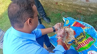 doctor visit my poultry farm amp solved my cheeks problem VivekSinghe7k VivekPoultryFarm [upl. by Werdnael]