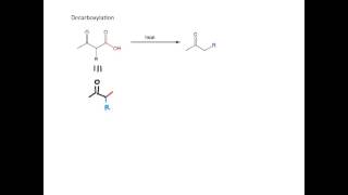 Acetoacetic Ester Synthesis [upl. by Atiuqaj]