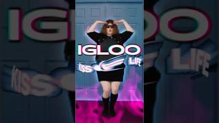 Igloo Dance cover  kissoflife igloo kiof shorts [upl. by Tressa]